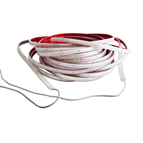LED Stripes ab IP44 bei Elektro-Reum GmbH in Fambach